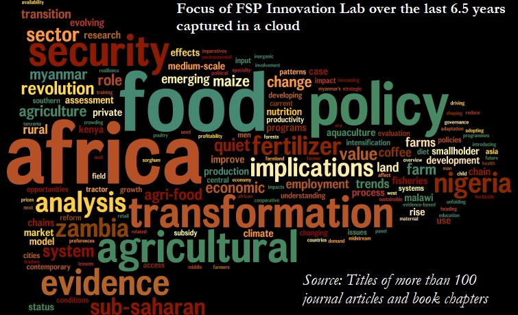 FSP word cloud